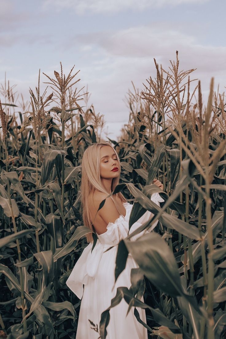 Девушка в кукурузном поле