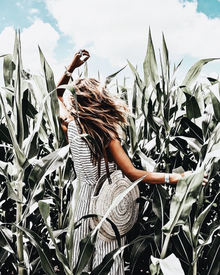 Девушка в кукурузном поле