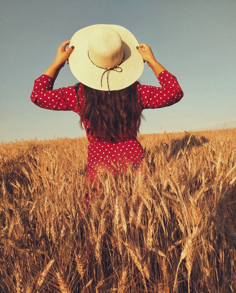 Красивые фотографии полей