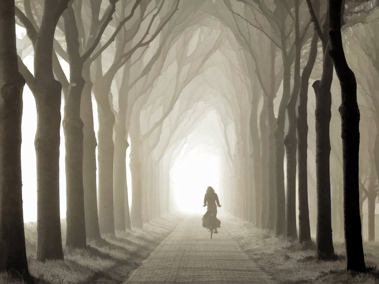 Уходящая в даль