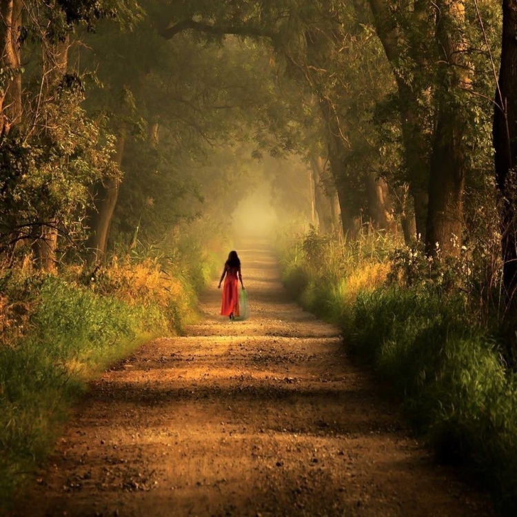 Девушка уходит в даль