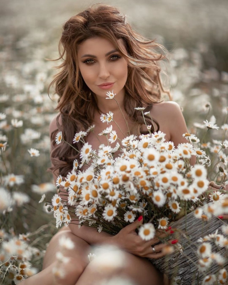 Ромашка белая лепесточки нежные