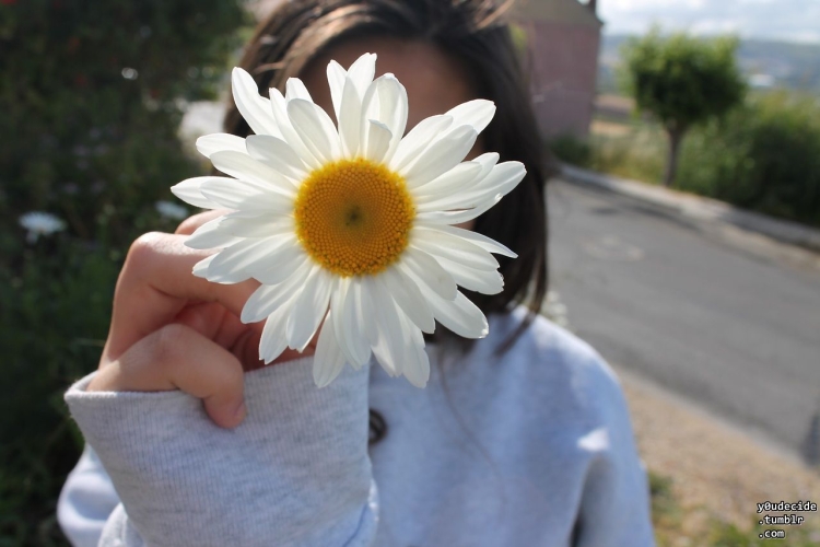 Девушка блондинка с ромашками