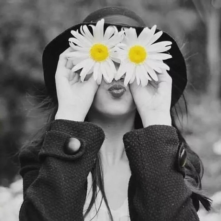 Букет ромашек в руках