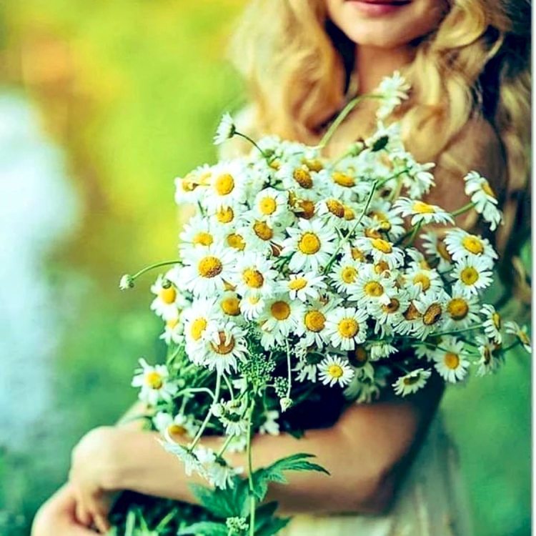 Ромашки Эстетика инди КИД