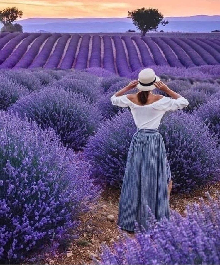 Фото в лавандовом поле что надеть