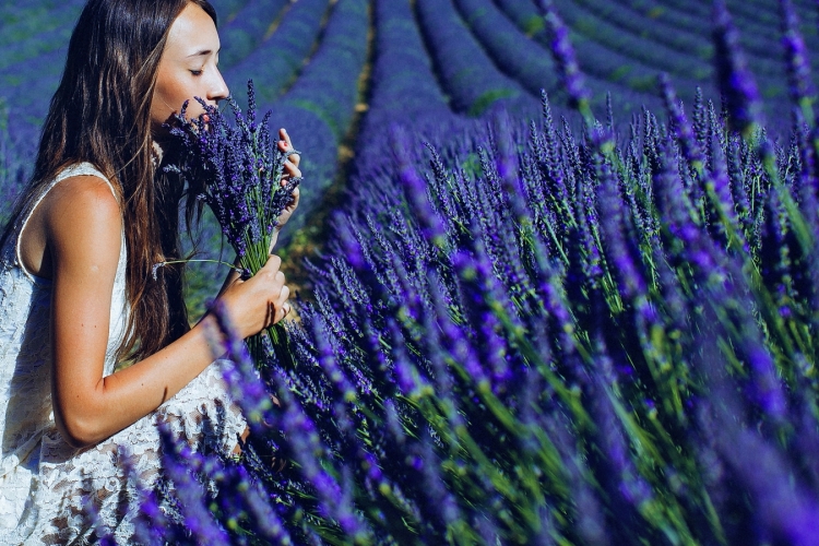 Брюнетка в лавандовом поле