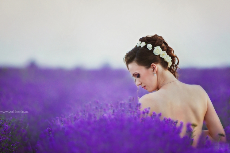 Девушка из Прованса