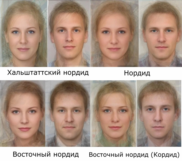 Нордид фенотип