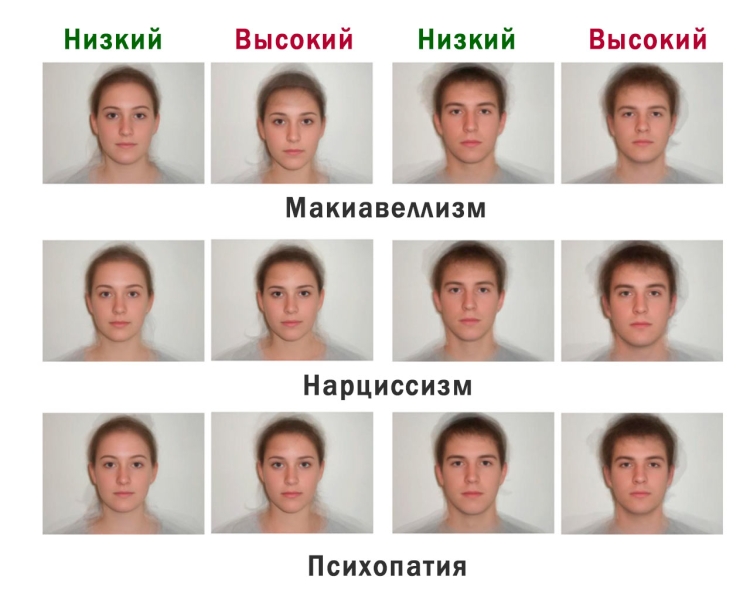 Черты внешности