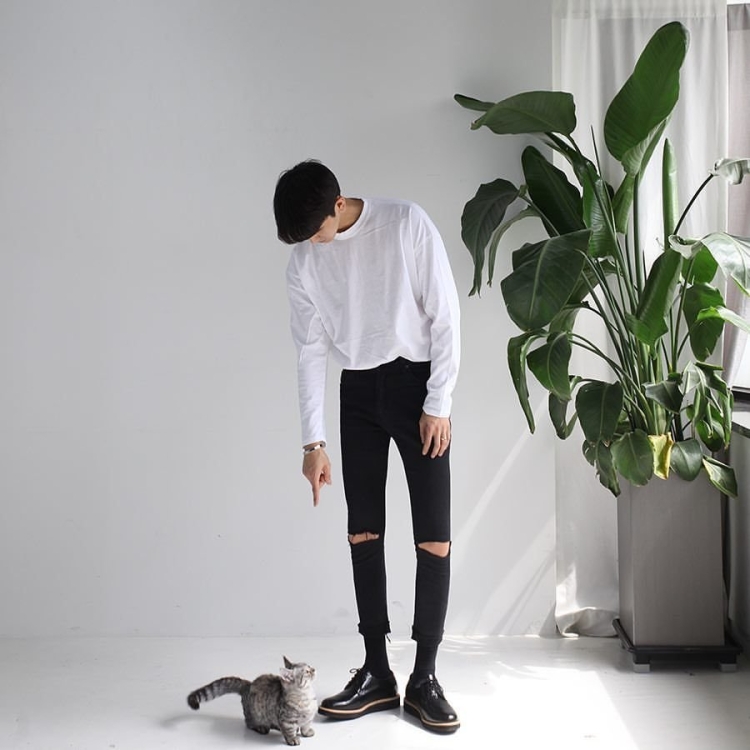 Корейцы Эстетика в полный рост