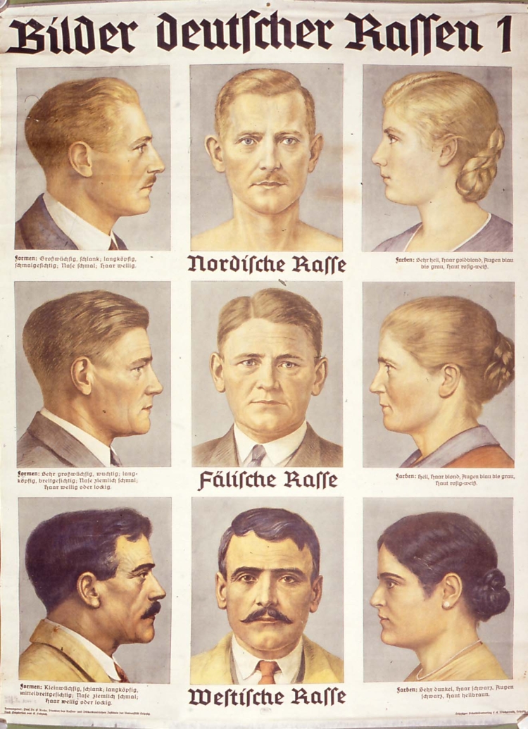 Расовые типы Европы Ганс Гюнтер