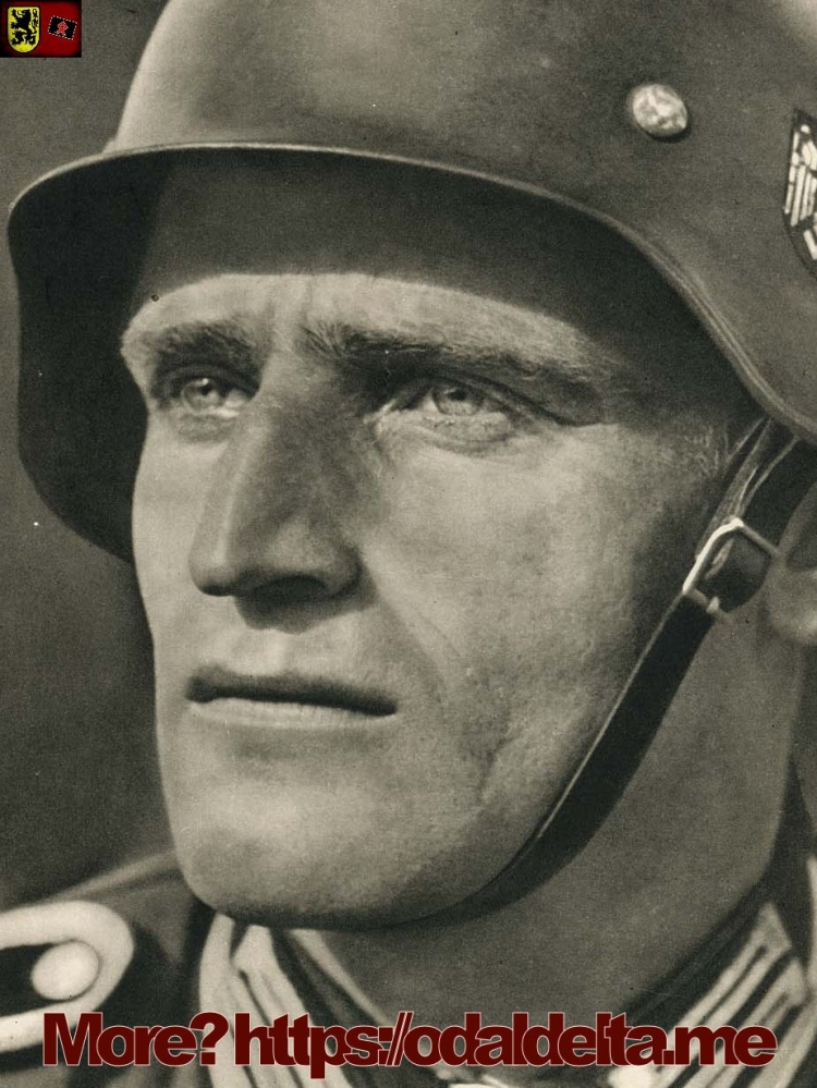 Нордические арийцы