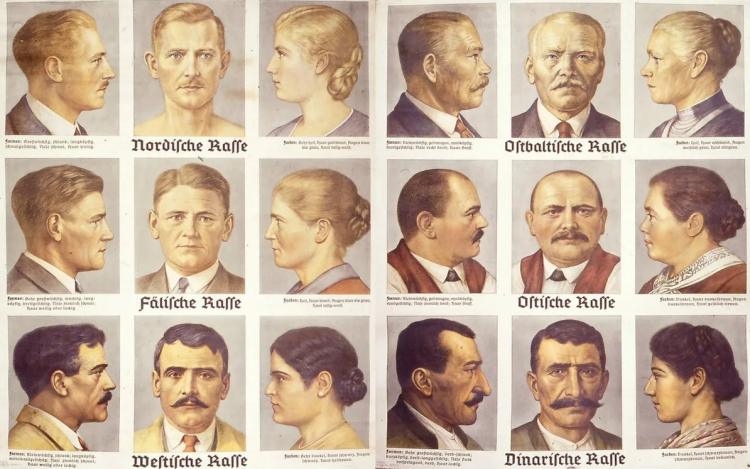 Расовая теория Гюнтера таблица