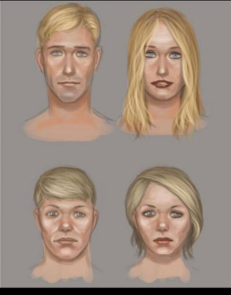 Арийская раса Нордическая раса