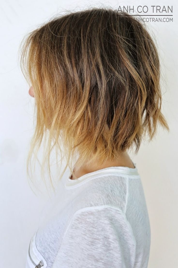 Шегги Лонг Боб