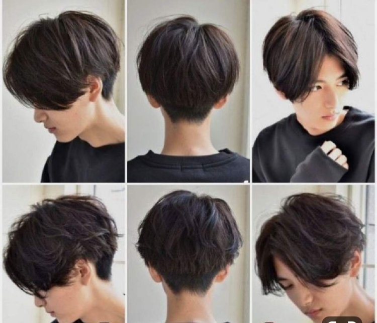 Томбой стрижка Пикси Боб