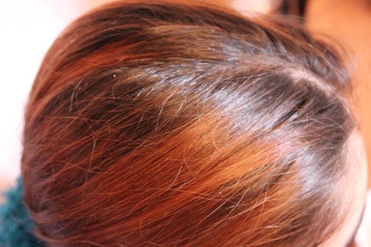 Хна на русые волосы