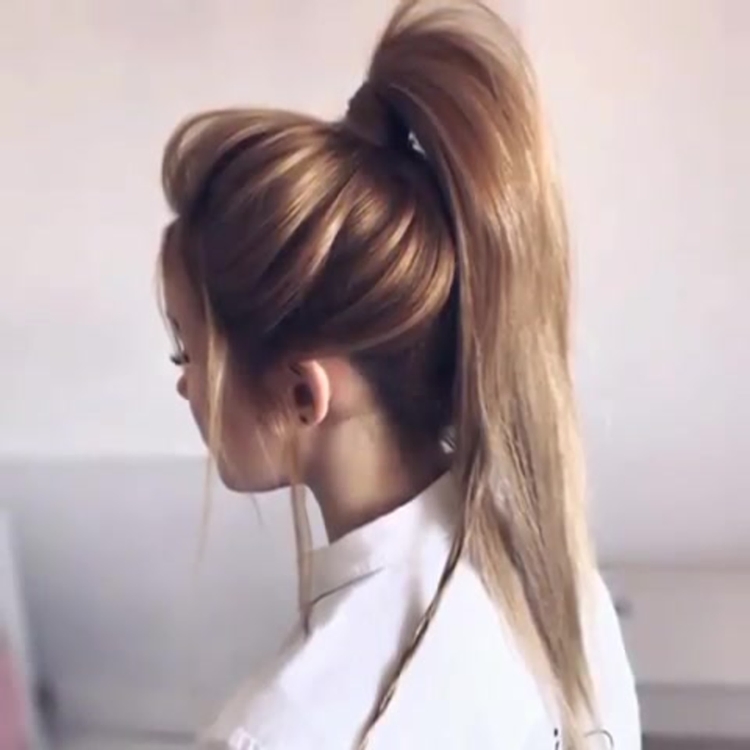 Высокий пышный хвост