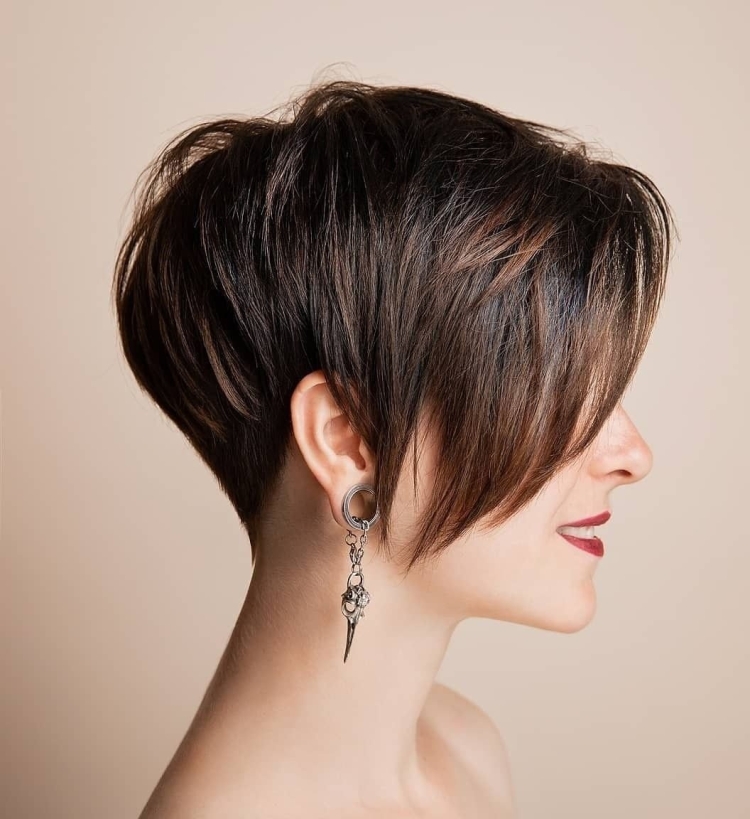 Стрижки Пикси и Пикси Боб