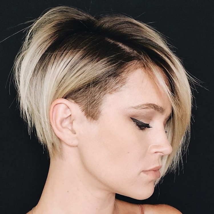 Пикси андеркат Боб