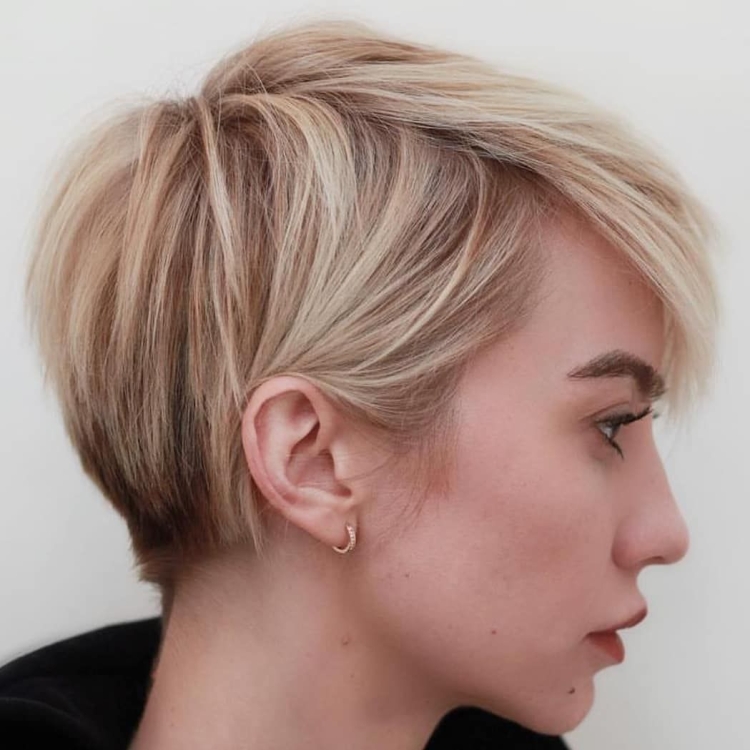 Стрижка Лонг Пикси Боб