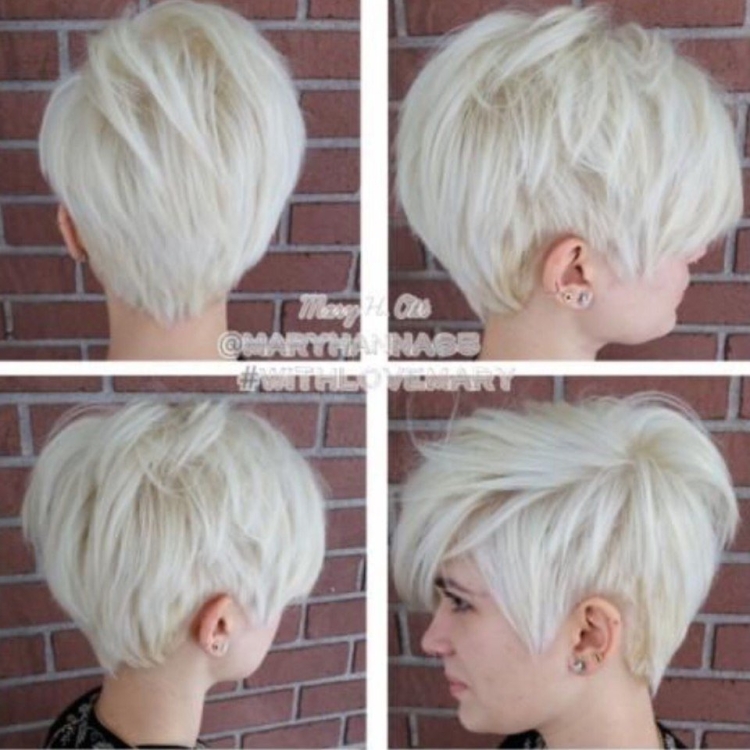 Томбой стрижка Пикси Боб