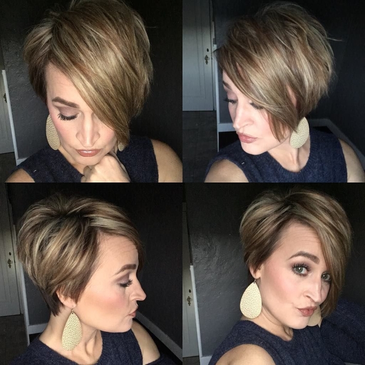 Отросший Пикси Боб