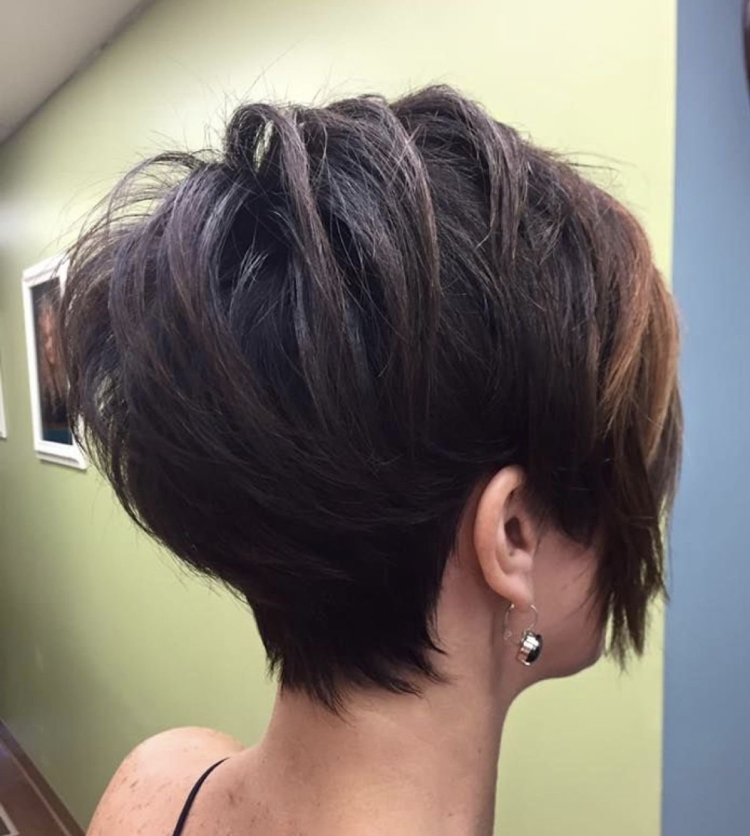 Пикси-Боб стрижка затылок