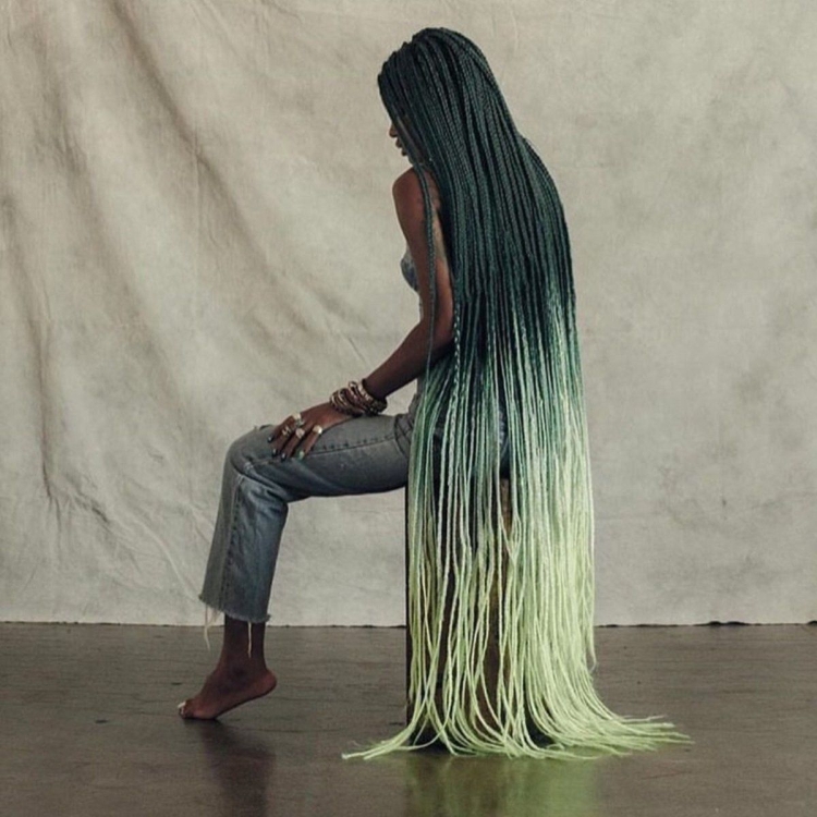 Афрохвост с брейдами