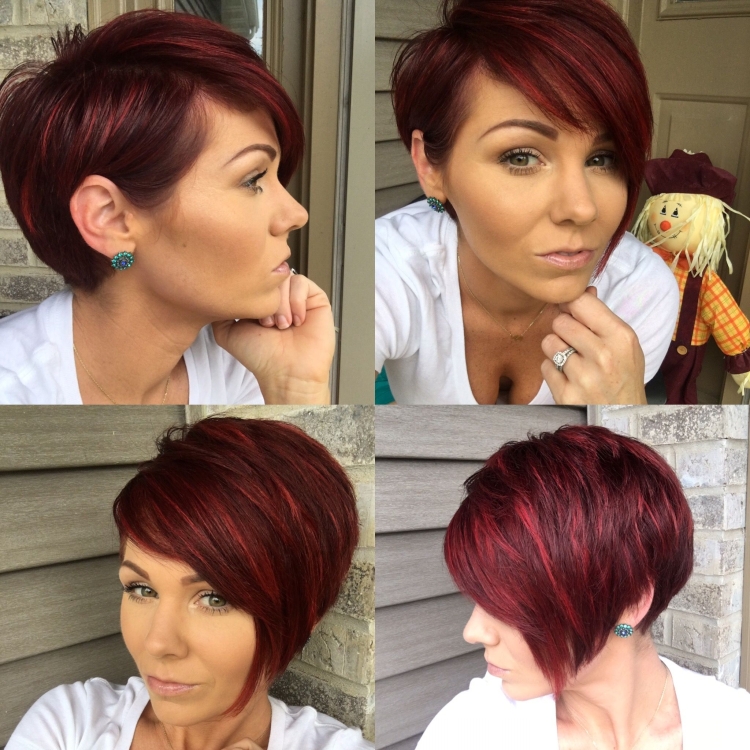 Пикси Боб на красные волосы