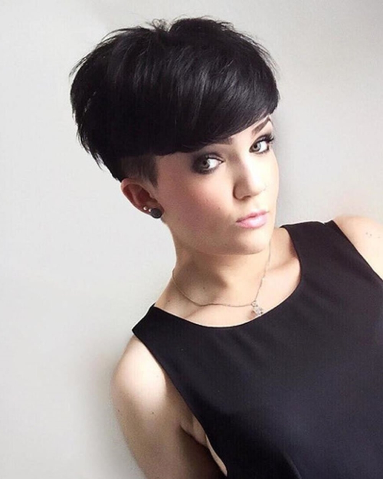 Pixie Bob