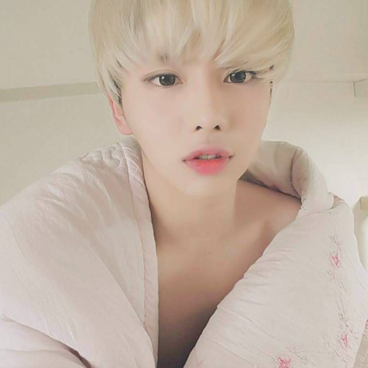 Корейцы альбиносы айдол