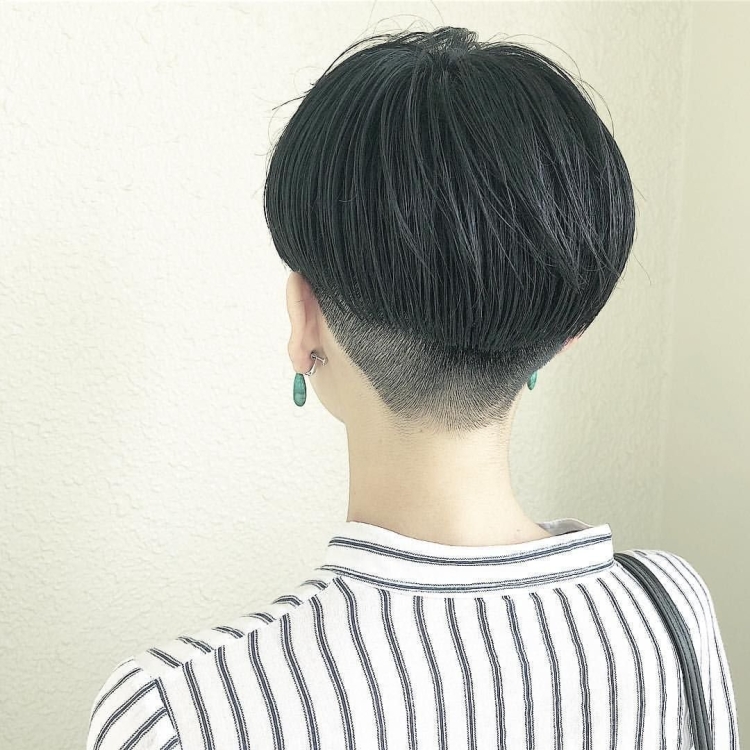 Томбой корейский Пикси Боб с выбритым затылком