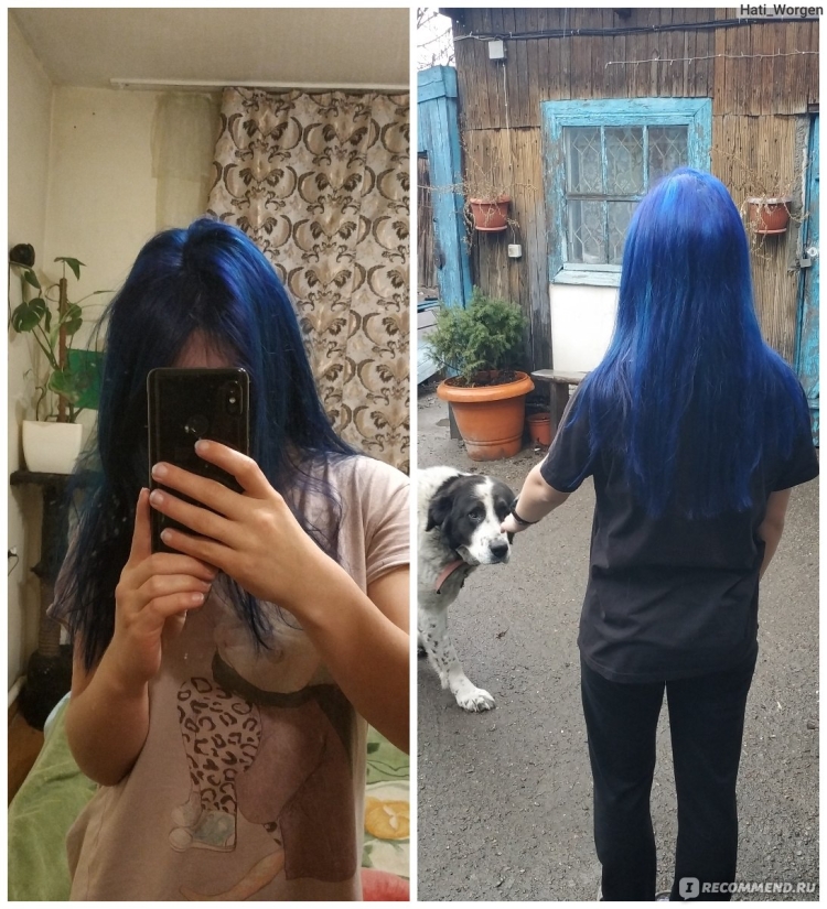 Тоника 3.1 Дикая слива