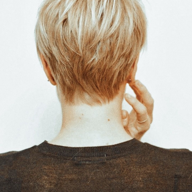 Пикси стрижка вид сзади