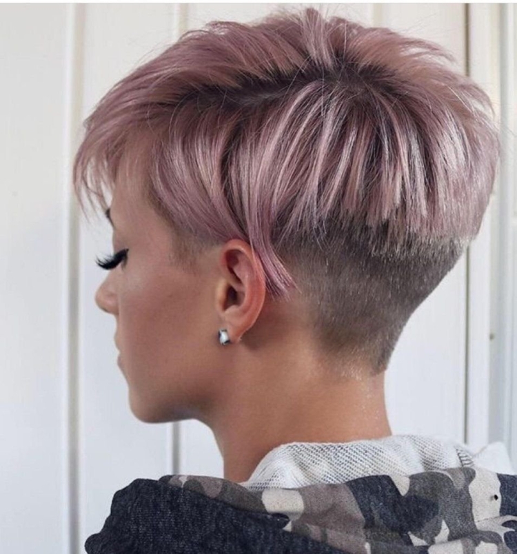 Пикси Боб с выбритым затылком