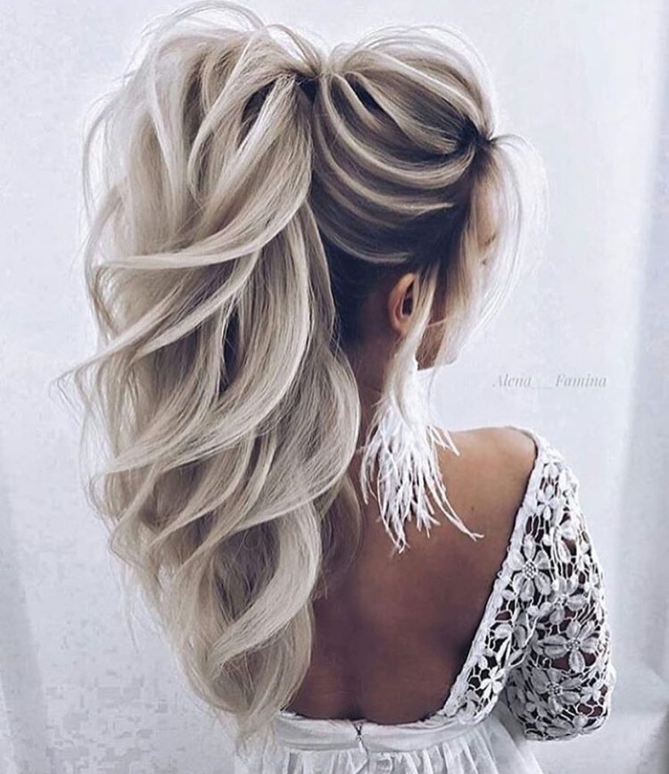 Хвост на короткиххволосах