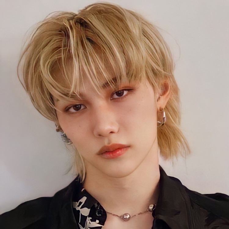 Stray Kids маллет