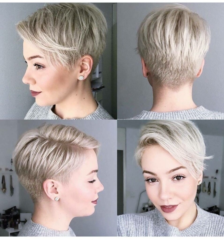 Стрижка пиксибоб Деметриус