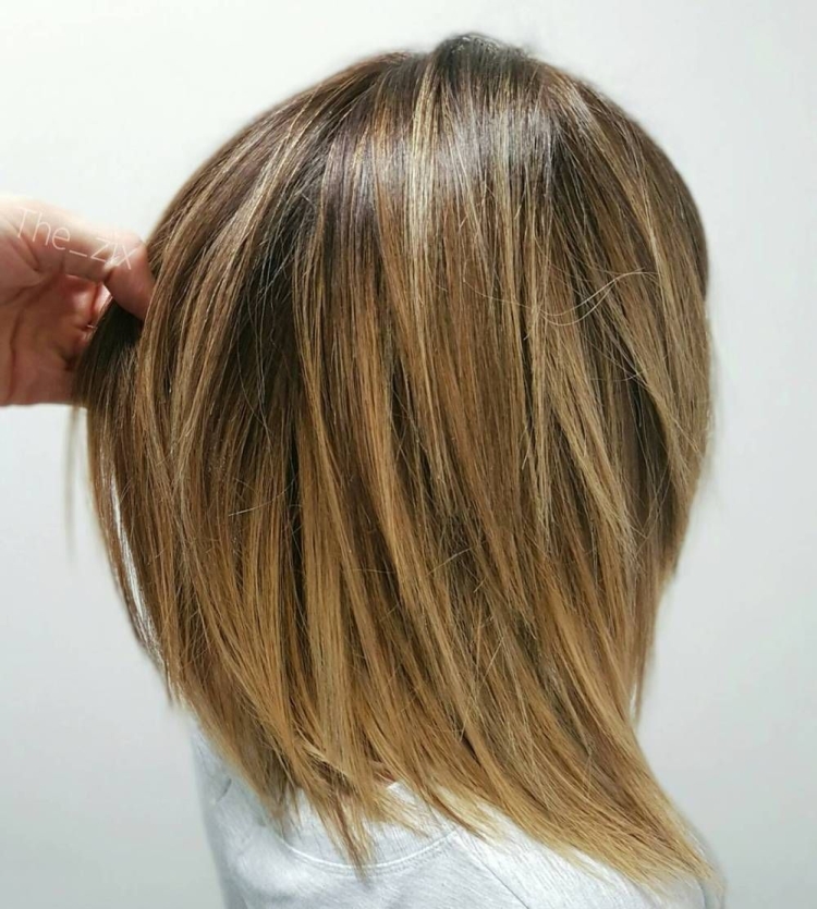 Градуированный Лог Боб