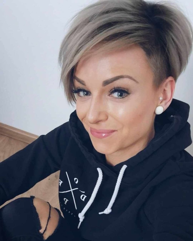 Пикси Боб с выбритым виском