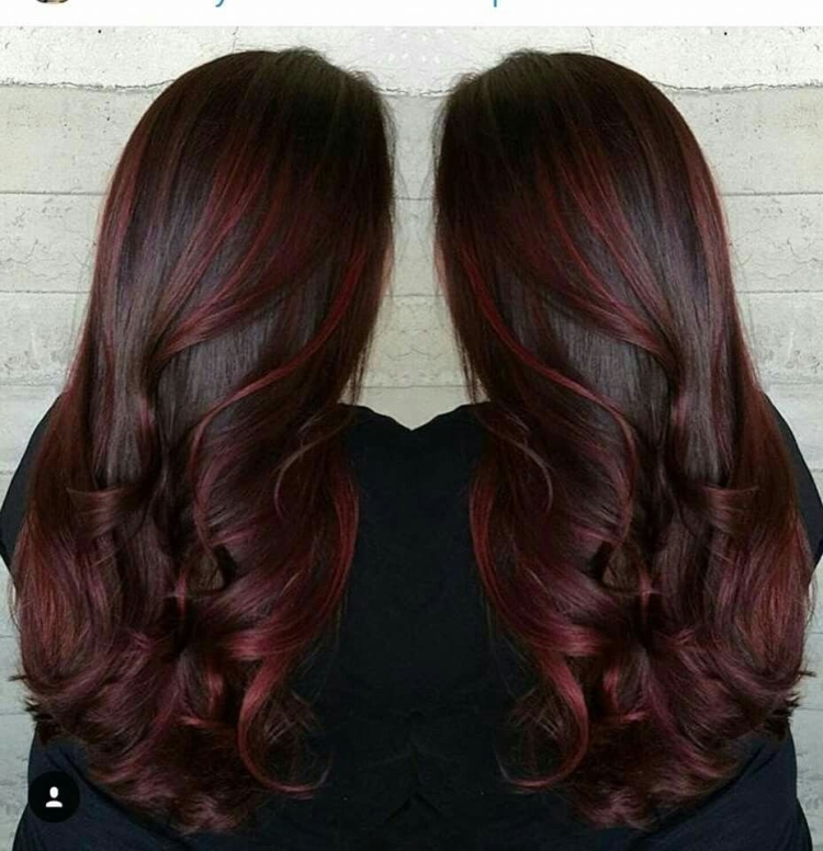 Бургундия махагон цвет волос