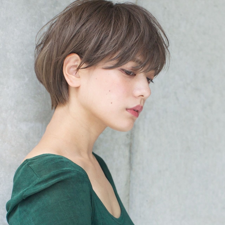 Пиксибоб стрижка корейская