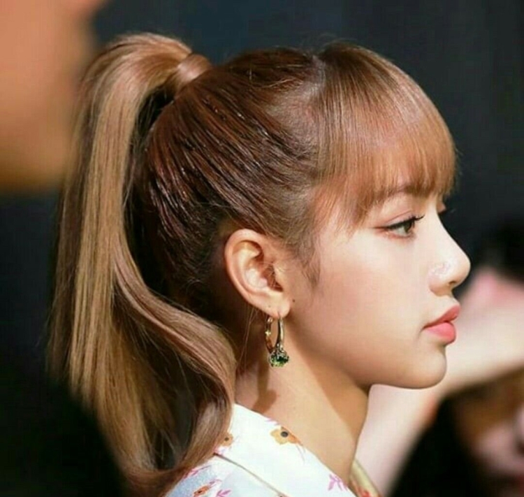 Лиса Блэк Пинк профиль