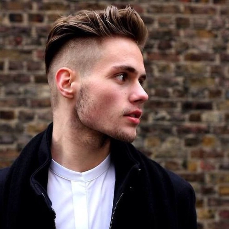 Андеркат британка мужская