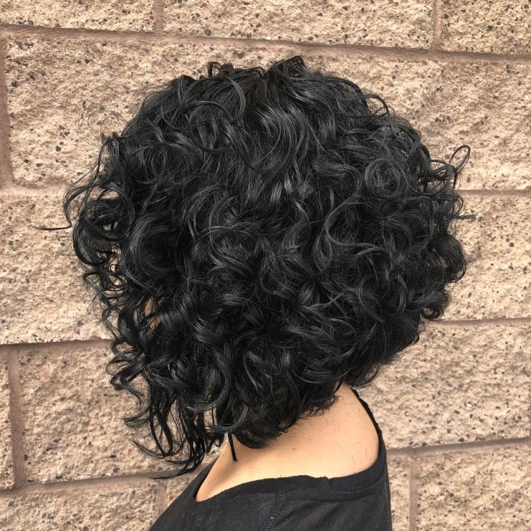 Кучерявый Боб