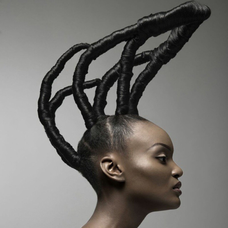Афроамериканцы прически для художников