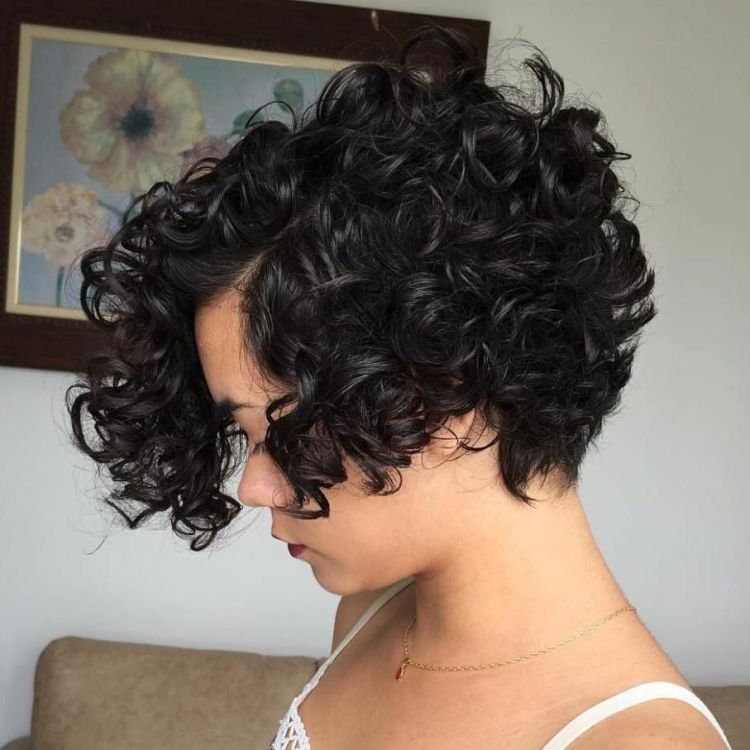 Пикси Боб на кудрявые волосы