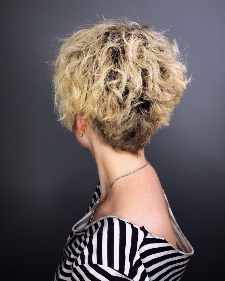 Пикси Боб на кудрявые волосы